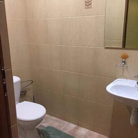 U Zubrytskyh Отель Трускавец