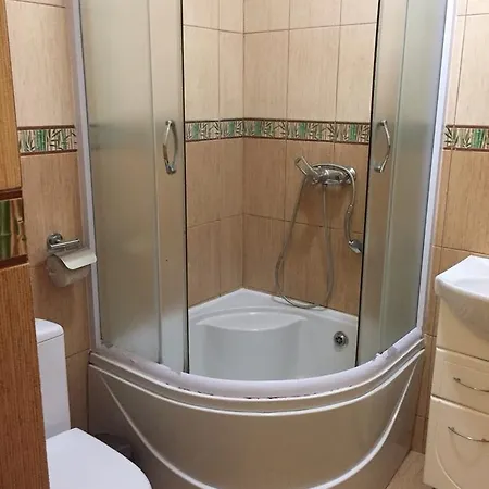 Отель U Zubrytskyh