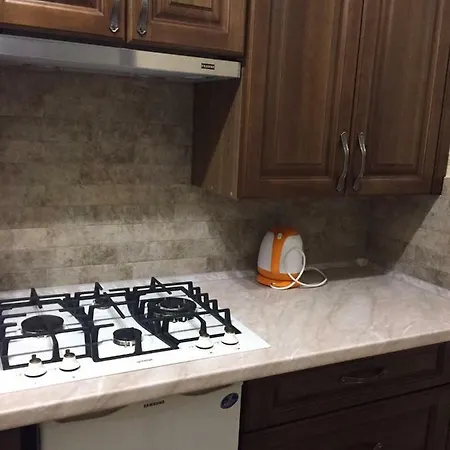 U Zubrytskyh Отель Трускавец