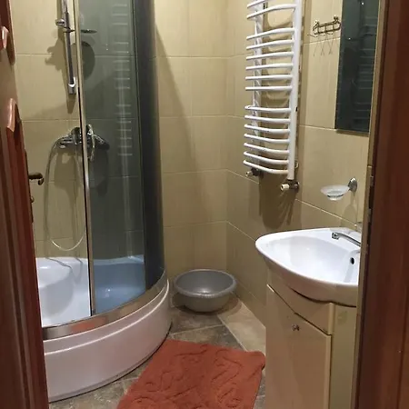 U Zubrytskyh Hotel *