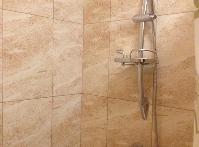 Hotel U Zubrytskyh Truskavec'