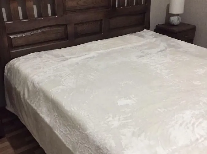 Hotel U Zubrytskyh Truskavec'